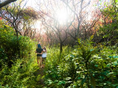 Cheesy Family Fun Along the Trail